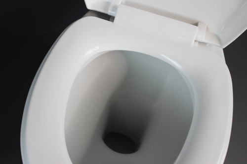 Унитаз напольный с бачком Creo Сeramique PROJECT COMBO-PR1002X белый с сиденьем с микролифт душевой смыв - фото 4
