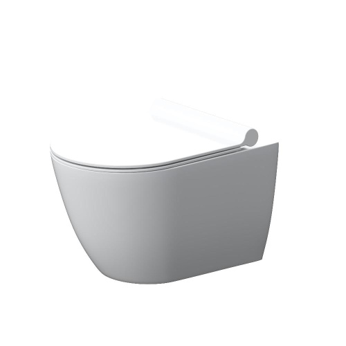 Унитаз подвесной Damixa Apollo DX22C1700SC белый с сиденьем микролифт безободковый каскадный смыв