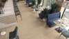 Кварцвиниловая плитка Alpine Floor Ultra ECO 5-4 Дуб Ваниль толщина 0.2 см 34 класс 1219,2х184,15