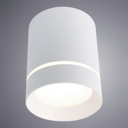 Светильник потолочный Arte Lamp Elle (Елле) A1909PL-1WH