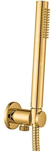 Душевой гарнитур Paffoni Master ZDUP094HGSP настенный золото