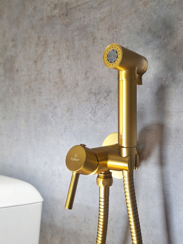 Гигиенический душ со смесителем AltroBagno Modern AltroBagnoModern060117BG золото матовое - фото 2