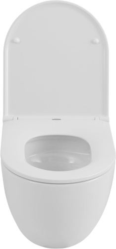 Чаша унитаза подвесная Allen Brau Priority Tornado 4.31009.20 цвет белый без сиденья безободковая душевой смыв - фото 2