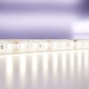 Светодиодная лента Maytoni Led Strip 10118