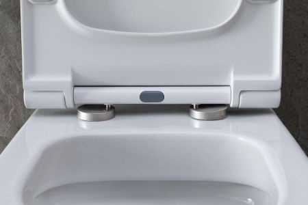 Чаша унитаза подвесная Allen Brau Priority 4.31002.20 цвет белый без сиденья безободковая каскадный смыв