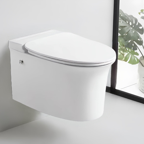 Унитаз подвесной Cerutti SPA CT10195 белый с сиденьем микролифт безободковый импульсный смыв - фото 3