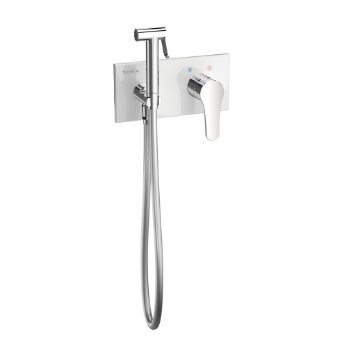 Гигиенический душ Teska ELSA BTK6410W хром/белое стекло