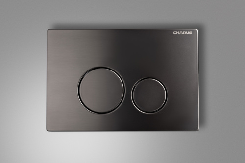 Клавиша смыва механическая CHARUS Robusto FP.330.GNM.05 - фото 2