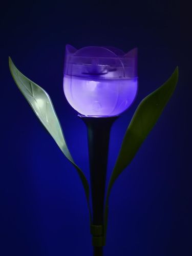 Светильник на солнечных батареях (UL-00004278) Uniel Promo (Промо) USL-C-453/PT305 Purple Tulip - фото 5