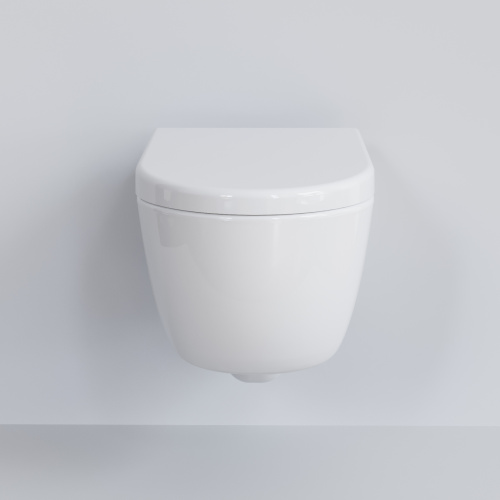 Унитаз подвесной Ambassador Abner 103T20001R-102T20001 белый глянцевый с сиденьем микролифт - фото 2