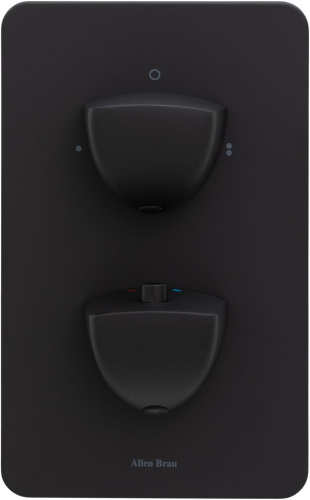 Смеситель для ванны с душем Allen Brau Infinity 5.21216-31 встраиваемый в стену черный с термостатом - фото 3