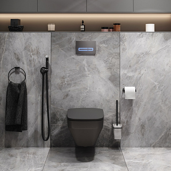 Комплект унитаз с инсталляцией с клавишей смыва с гигиеническим душем и аксессуарами для ванной комнаты Am.Pm Inspire V2.0 CK50GG