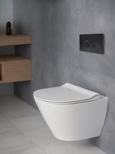 Клавиша смыва механическая AltroBagno Beni aggiuntivi AltroBagnoPFP005DQ цвет черный - фото 4