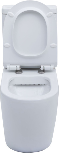 Чаша унитаза напольная Aquanet Cetus CETUS-C1 цвет белый без бачка с сиденьем микролифт безободковая каскадный смыв - фото 5