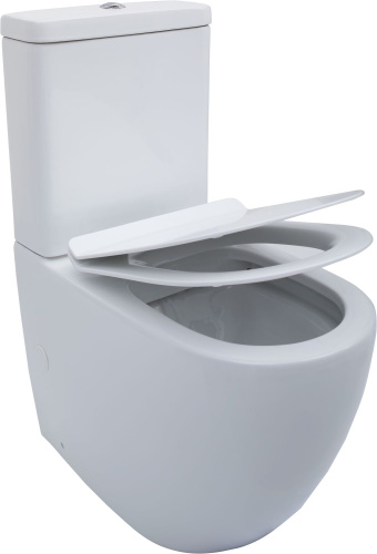 Чаша унитаза напольная Aquanet Cetus CETUS-C1 цвет белый без бачка с сиденьем микролифт безободковая каскадный смыв - фото 3