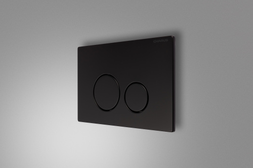 Клавиша смыва механическая CHARUS Robusto FP.330.MB.05 - фото 4