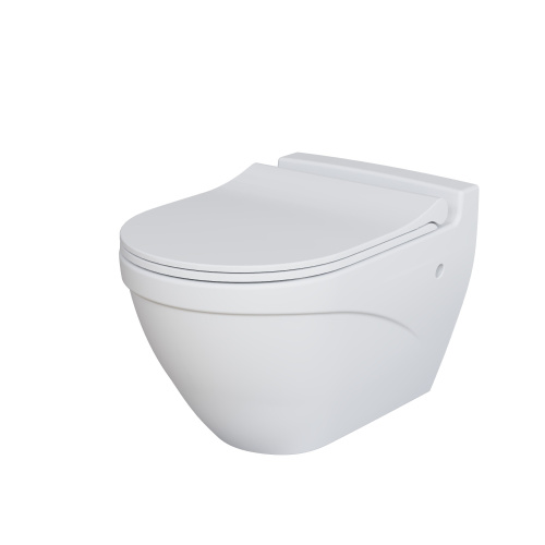 Унитаз подвесной Ambassador Nord 133T20101-132T20101S белый матовый с сиденьем микролифт