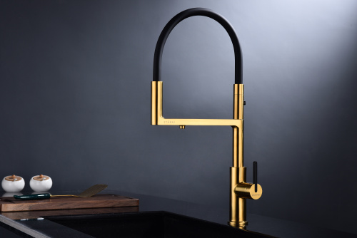 Смеситель для кухни Paulmark TORNADO To213402-BG на раковину брашированное золото - фото 2