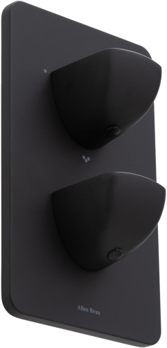 Смеситель для ванны с душем Allen Brau Infinity 5.21316-31 встраиваемый в стену черный с термостатом - фото 2