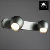 Спот Arte Lamp Sfera (Сфера) A5781AP-2SS