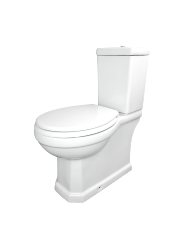 Чаша унитаза напольный Creo Сeramique TOULOR TL1002 цвет белый без сиденья и бачка - фото 3