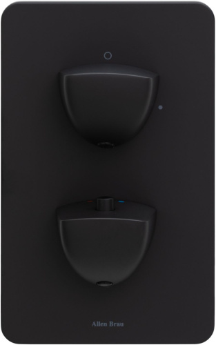 Смеситель для ванны с душем Allen Brau Infinity 5.21116-31 встраиваемый в стену черный с термостатом - фото 3