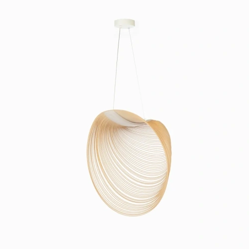 Светильник подвесной Cosmo Snail CP0143 - фото 2