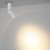 Спот Odeon Light Ligo (Лиго) 7136/8CL