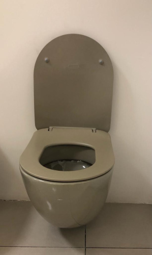 Чаша унитаза подвесная Creavit Free FE320-11CP00E-0000 цвет бежевый глянцевый без сиденья смыв торнадо - фото 4