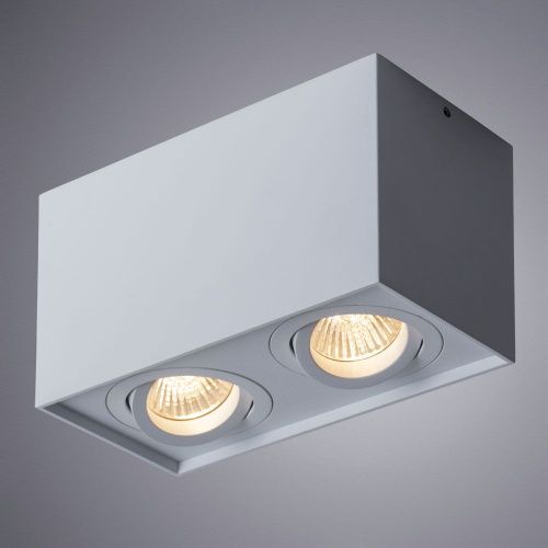 Светильник потолочный Arte Lamp Factor (Фацтор) A5544PL-2WH - фото 3