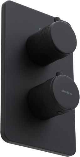 Смеситель для ванны с душем Allen Brau Priority 5.31113-31 встраиваемый в стену черный с термостатом - фото 2