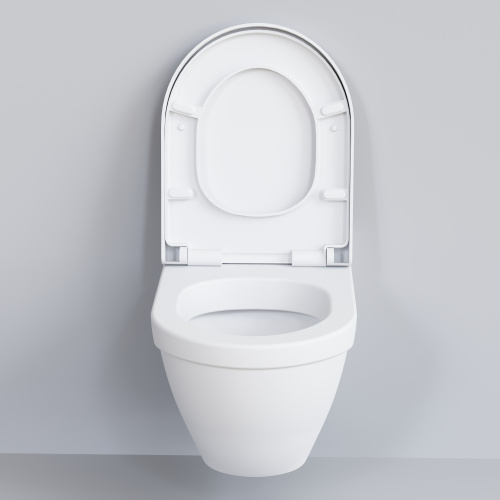 Унитаз подвесной Ambassador Nord 133T20101-132T20101 белый матовый с сиденьем микролифт - фото 5
