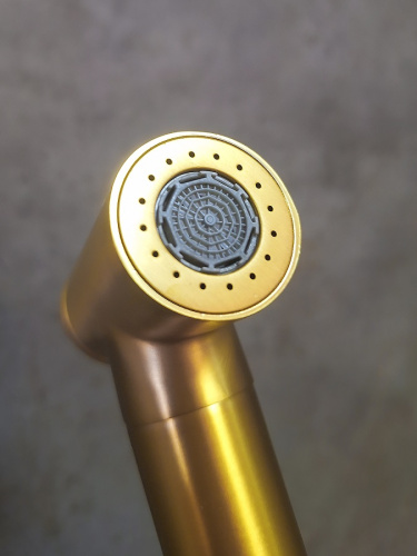 Лейка для гигиенического душа AltroBagno Modern AltroBagnoModern060206BG круглая - фото 4