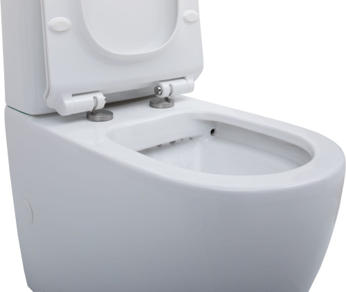 Чаша унитаза напольная Aquanet Cetus CETUS-C1 цвет белый без бачка с сиденьем микролифт безободковая каскадный смыв - фото 4