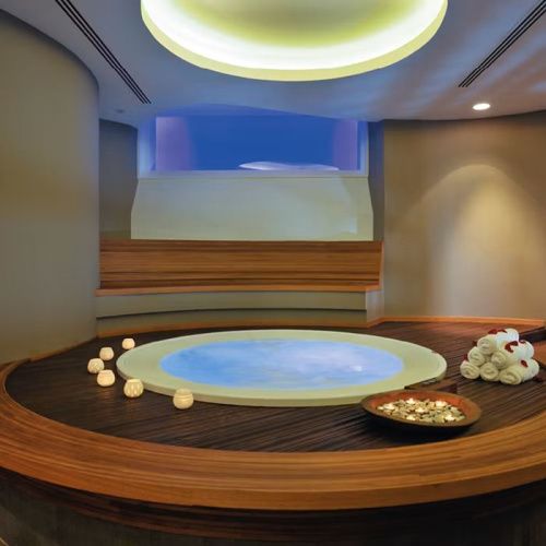 Минибассейн Jacuzzi Alimia PRO 944411852 240х240 круглый встраиваемый на 6-7 человек 28 форсунок, 16 аэро, подсветка - фото 2
