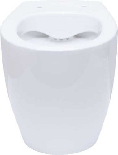 Унитаз приставной Allen Brau Fantasy 4.11007.20 белый с сиденьем микролифт безободковый каскадный смыв - фото 3