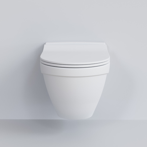 Унитаз подвесной Ambassador Nord 133T20101-132T20101S белый матовый с сиденьем микролифт - фото 2