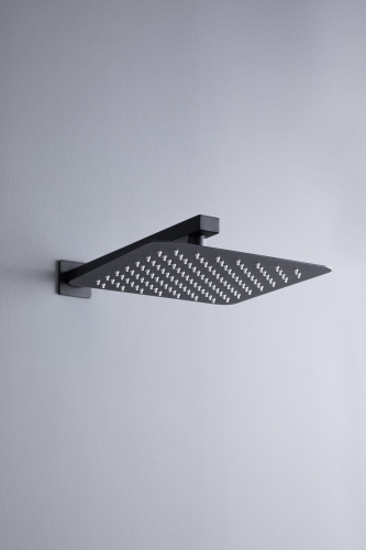 Верхний душ Allen Brau Infinity 5.21A19-31 черный - фото 5