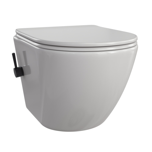 Унитаз подвесной Taliente Amato AM25010 + SMnero белый с сиденьем безободковый смыв торнадо