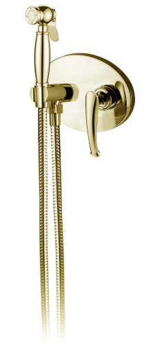 Гигиенический душ со смесителем AltroBagno Beatrice AltroBagnoBeatrice060113Or золото - фото 2