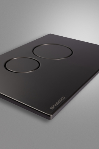 Клавиша смыва механическая CHARUS Robusto FP.330.GNM.05 - фото 3