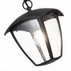 Уличный подвесной светильник ST Luce Sivino (Сивино) SL081.403.01