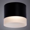 Светильник потолочный Arte Lamp Castor (Цастор) A5554PL-1BK