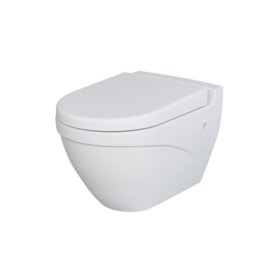 Унитаз подвесной Ambassador Nord 133T20101-132T20101 белый матовый с сиденьем микролифт