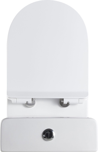 Чаша унитаза напольная Logan 00261949 цвет белый с сиденьем микролифт без бачка безободковая каскадный смыв - фото 5