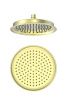 Верхний душ Wonzon & Woghand WW-88DP05-BG 25х25 золото