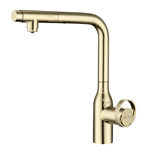 Смеситель для кухни Paulmark URBAN Ur213104-G на раковину золото