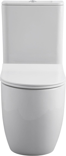 Чаша унитаза напольная Allen Brau Priority 4.31003.20 цвет белый без бачка с сиденьем микролифт безободковая каскадный смыв - фото 3