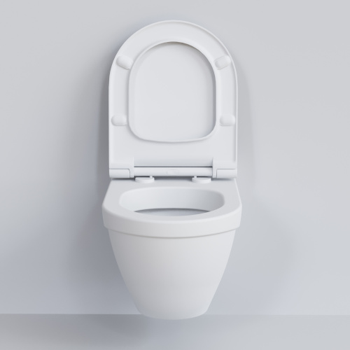 Унитаз подвесной Ambassador Nord 133T20101-132T20101S белый матовый с сиденьем микролифт - фото 3