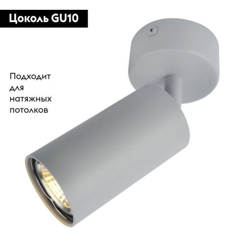 Спот Arte Lamp Aquarius (Акуариус) A3216PL-1GY - фото 2